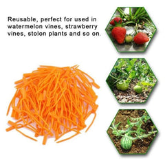 50pcs Farming Clip Plant Fixed Clamps Strawberry Watermelon Fork
