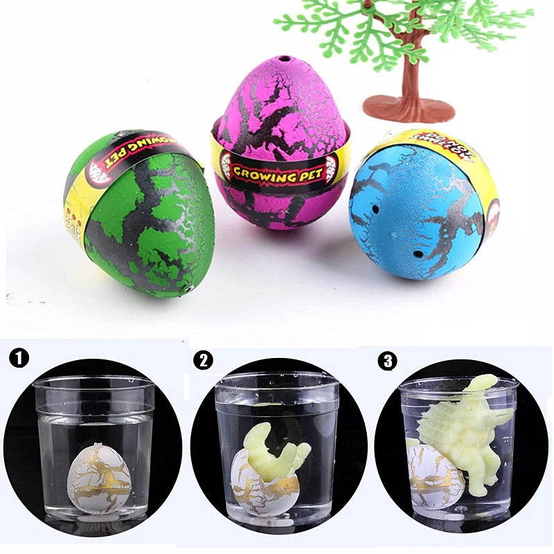 img_2668367
