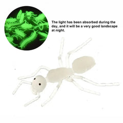 img_2694252