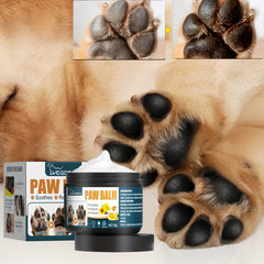 Dog Nose & Paw Moisturizing Cream