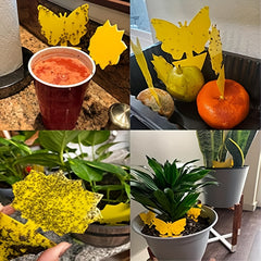24pcs Fruit Fly Traps Yellow Sticky Bug Traps Non Toxic Indoor Outdoor Plant Pro