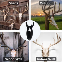 European Mount Skull Hanger for Deer Head Display