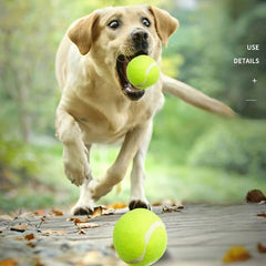3pcs High Elastic Tennis Balls for Training