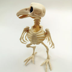 Halloween Crow Skeleton Venue Props