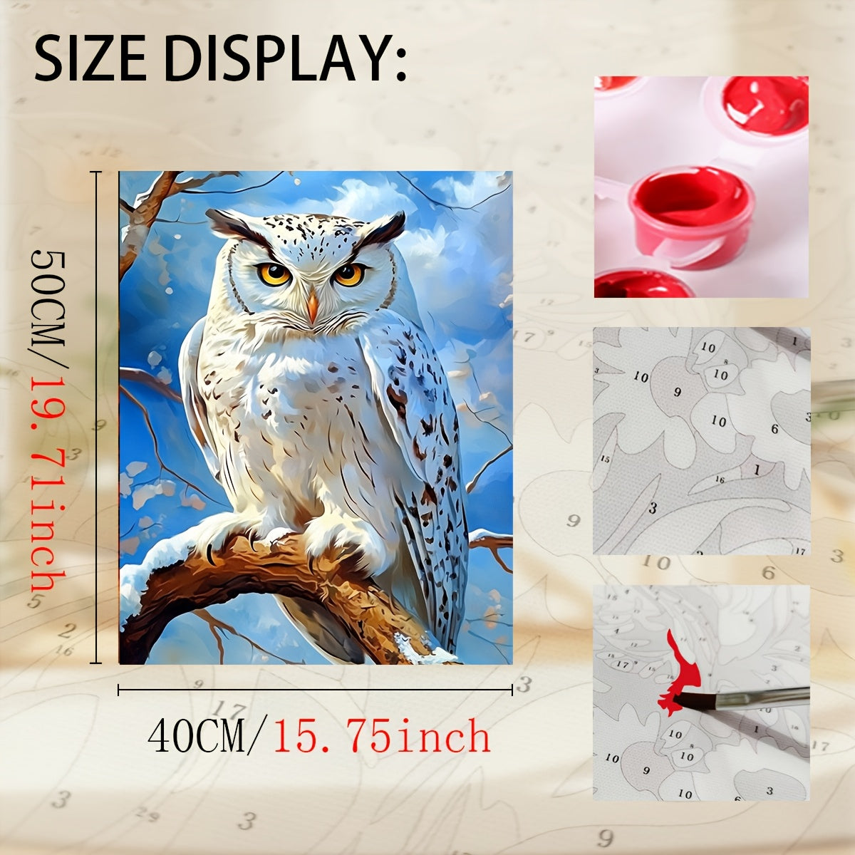Adult DIY Paint by Numbers Kit Owl Christmas Birthday Gift Home Decor
