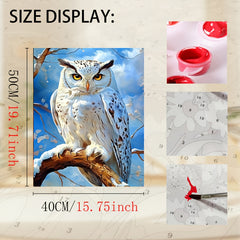 Adult DIY Paint by Numbers Kit Owl Christmas Birthday Gift Home Decor