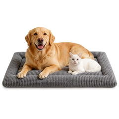 img_7390498