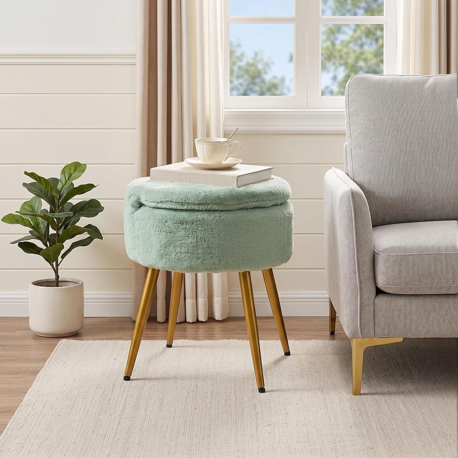 img_6434225