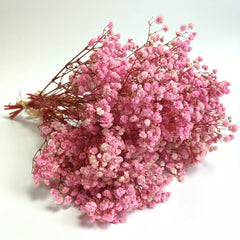 3 Bunches Pink Preserved Baby's Breath Flowers for Vase Home Decor Party