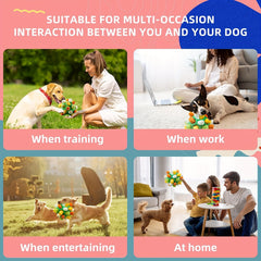 Interactive Pet Sniffing Toy for Food Leaking - Dog Chew and Squeaky Toy