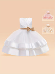Toddler Girls Tutu Princess Dress Sleeveless Tulle Puffy Dress