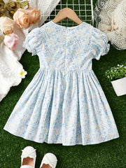 Toddler Girls Flutter Sleeve Lace Trim Flowers Graphic Princess Dress