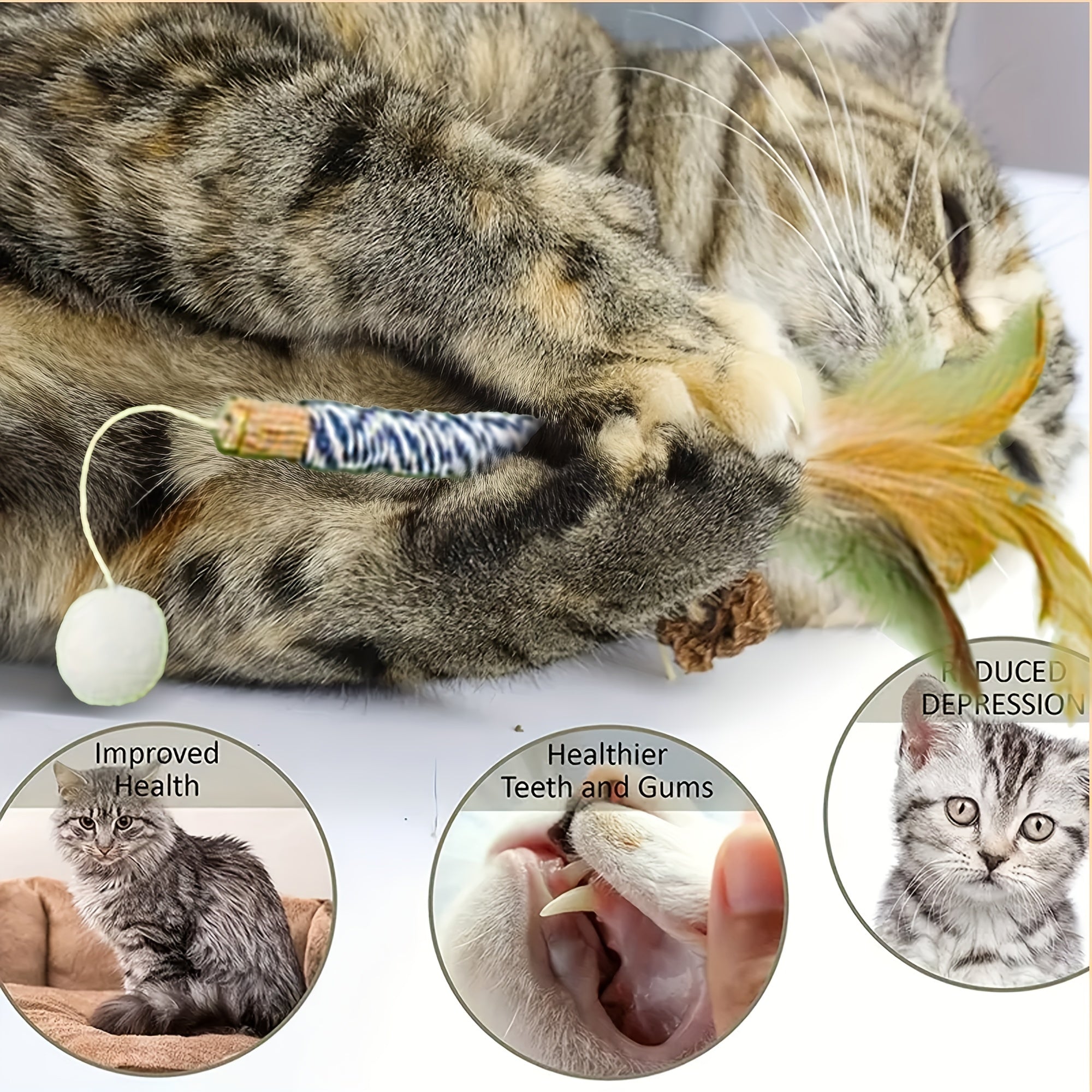 Catnip Teething Stick Cat Toy with Feathers and Bells