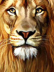 Lion 3D Print Kid's Hoodie Long Sleeve Top Casual Boy's Clothes