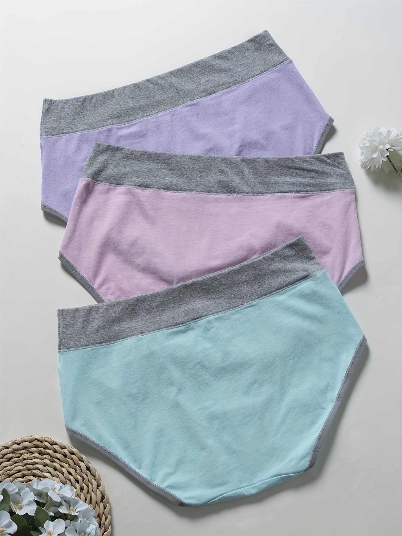 3 Pack Plus Size Colorblock High Rise Panties Set