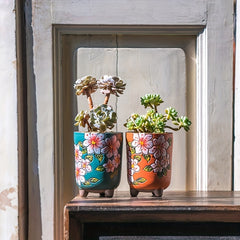 Hand-painted Meat Plant Flower Pot Yanxi Ceramic Flower Pot