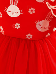 Ruffled Rabbit Embroidered Princess Dress for Party