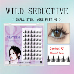 6 Pcs 16mm Wispy C Curl Lash Clusters for DIY Cat Eye Lash Extension