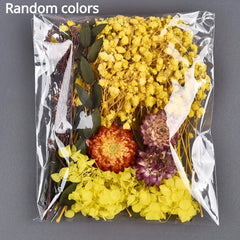 Random Preserved Flower Pack DIY Floral Materials