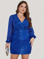 Sequin Long Sleeve Occasion Dress