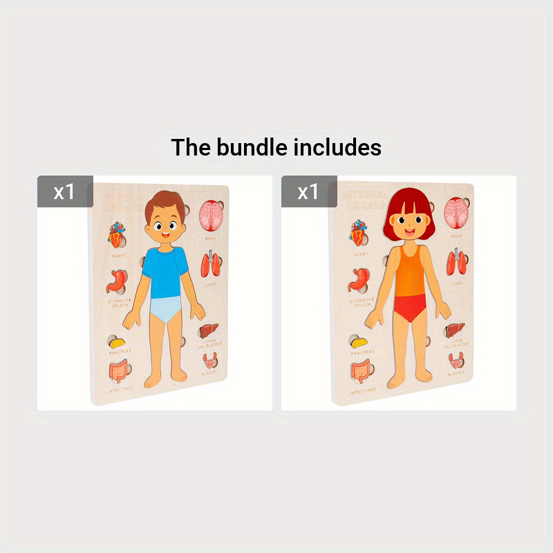 Wooden Human Body Puzzle Toy Educational Gift for Kids