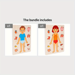 Wooden Human Body Puzzle Toy Educational Gift for Kids