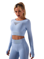 Seamless Yoga Set Mesh Crop Top & High Waist Leggings