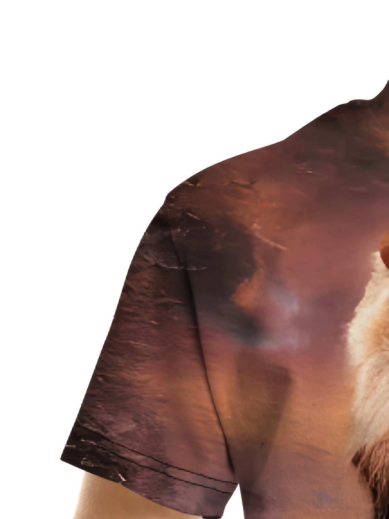 Boys Lion 3D Print T-shirt Short Sleeve Crew Neck Top Casual Kids Clothes