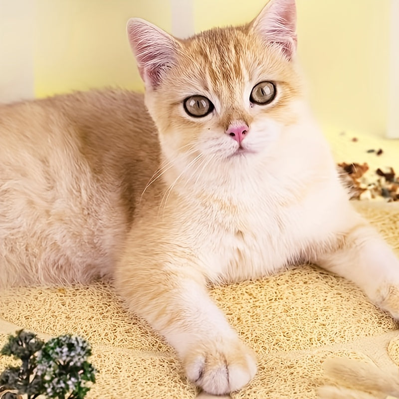 Anti-Slip Cat Litter Mat - Keep Your Floors Clean and Tidy