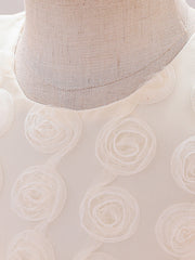 Little Girl Princess Dress