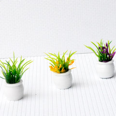 img_4953413