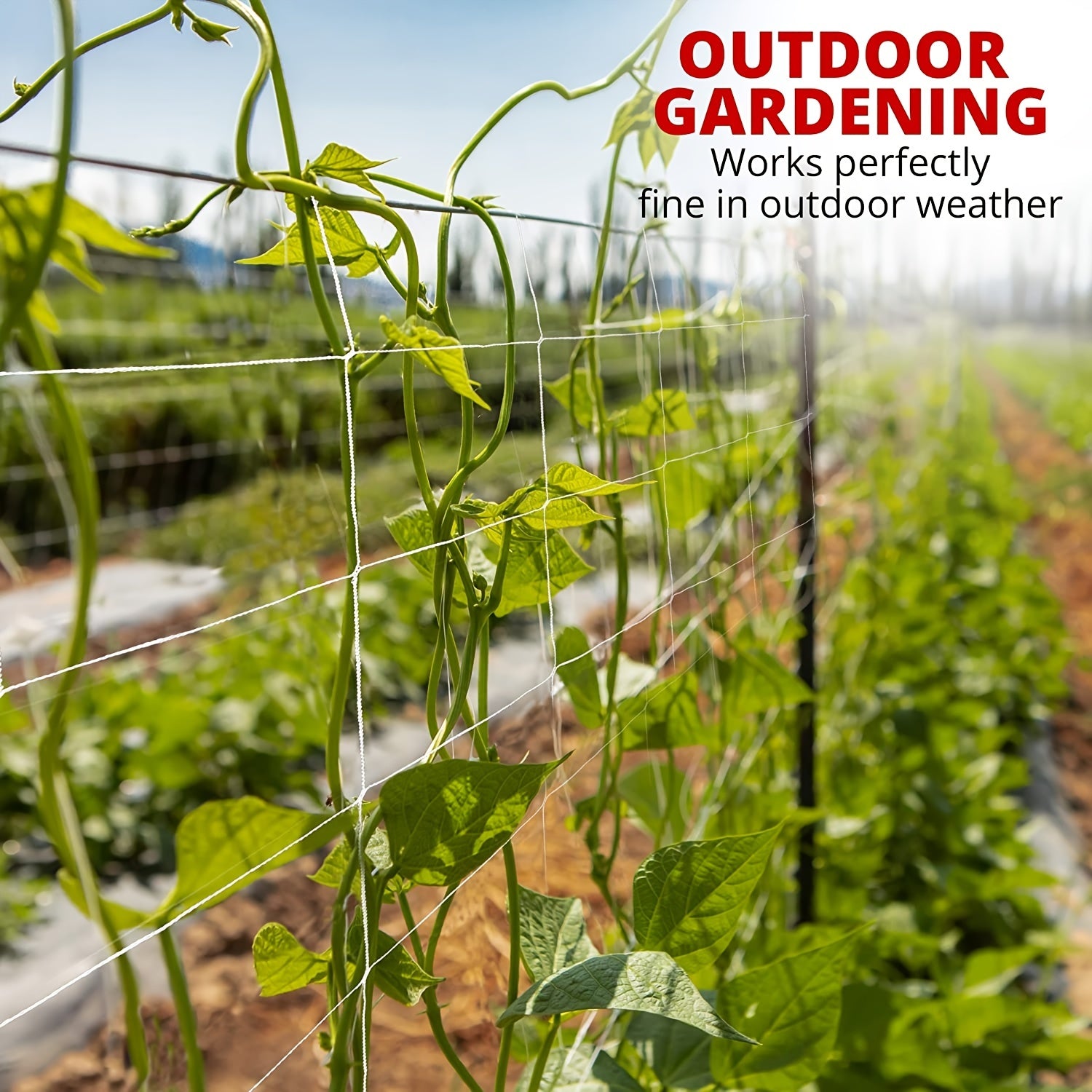 Plant Trellis Netting Polyester For Climbing Fruits And Vegetables
