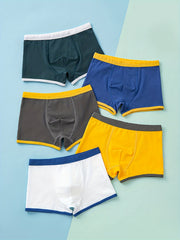 5pcs Boy's Cotton Boxer Briefs Dinosaurs Print Elastic Waist Shorts