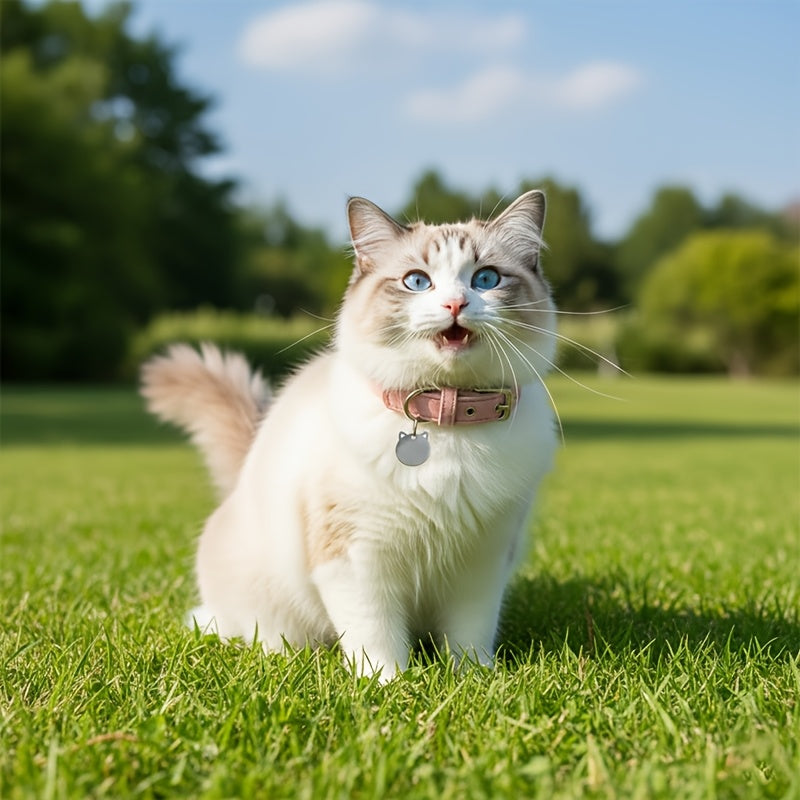 img_4099567