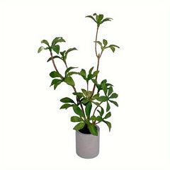 Dollhouse Potted Plant Green Leafed Bonsai Home Decor Toy