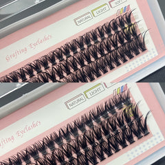 60 Cluster Lashes 40D D Curling Mix 10 12 14mm DIY Eyelash Extension