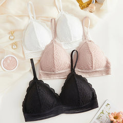 3pcs Lace Bralettes Scalloped Trim Bra Women's Lingerie