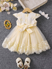 Girls Princess Dress Baby Girls Floral Graphic Mesh Puffy Casual