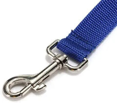 img_5028498