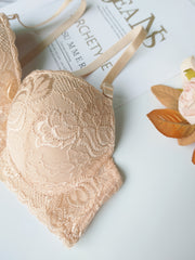 2pcs Lace Push Up Bra Comfy & Breathable Women's Lingerie