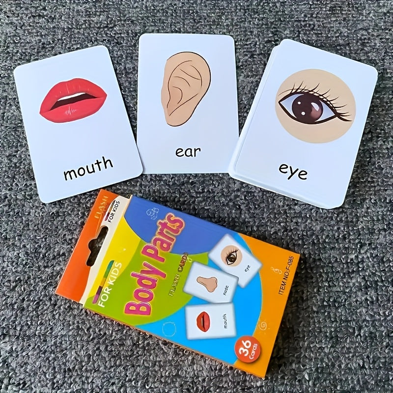 Visual Word Flashcards Set - Letters, Animals, Fruits, Colors, Body Parts