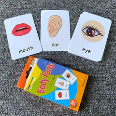 Visual Word Flashcards Set - Letters, Animals, Fruits, Colors, Body Parts