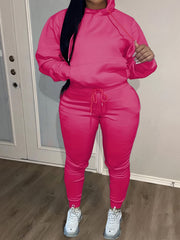 Solid Hooded Sweatshirt & Jogger Sweatpants Set