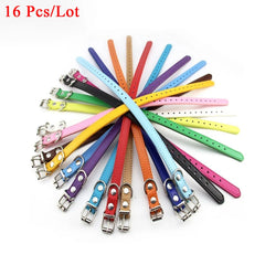 img_5022608
