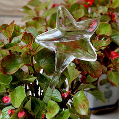 Automatic Watering Device for Houseplants