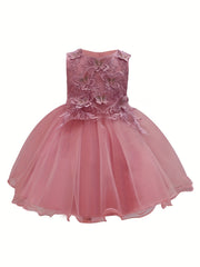 Girls Sleeveless Princess Dress Flower Embroidery Bow Tulle Tutu Dress