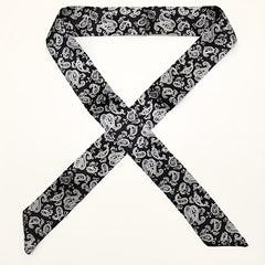 2pcs Paisley Print Twilly Scarf Vintage Ribbon Neckerchief