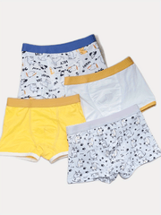4pcs Boys Teen Cartoon Boxer Briefs Clothes