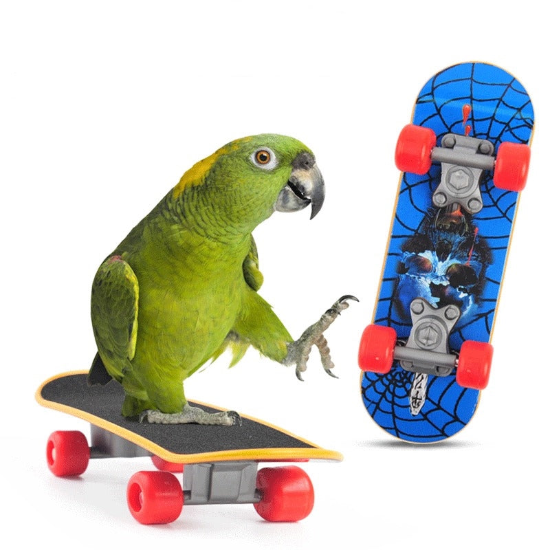 Mini Skateboard Parrot Toy for Chew Training & Cage Ornaments