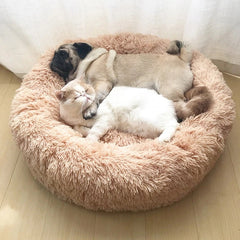 Cozy Pet Bed for Warmth and Comfort Indoors